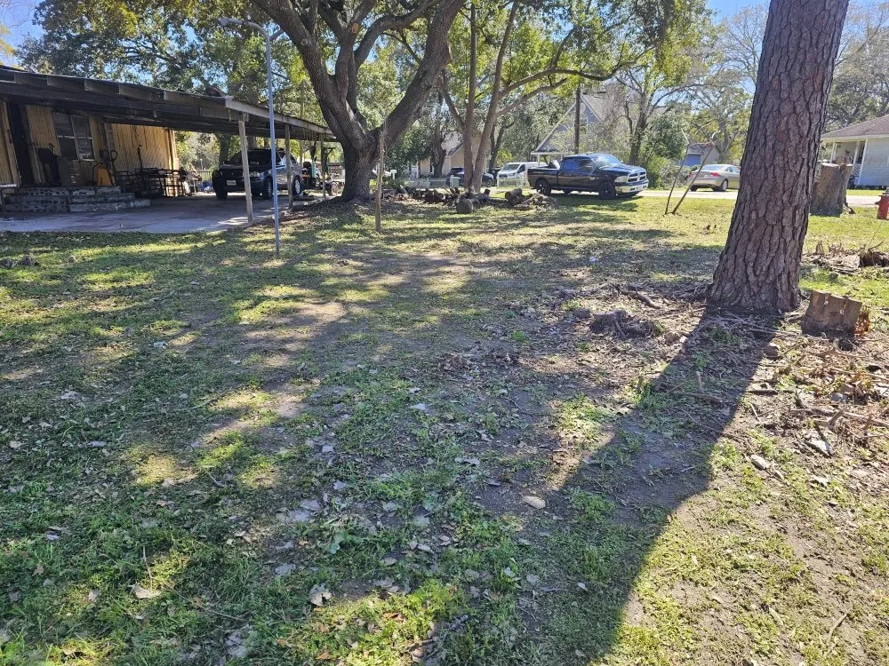Professional yard cleanup service in La Marque, TX - BLC Lawn Care