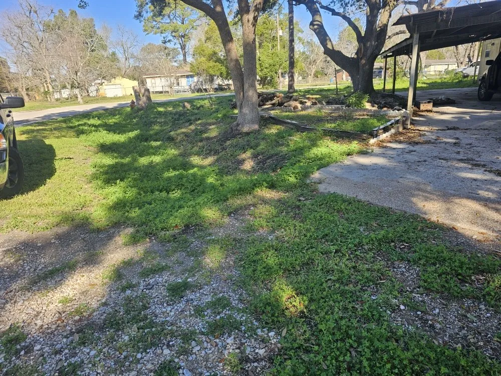 Top-rated lawn mowing service near you in La Marque, TX by BLC Lawn Care