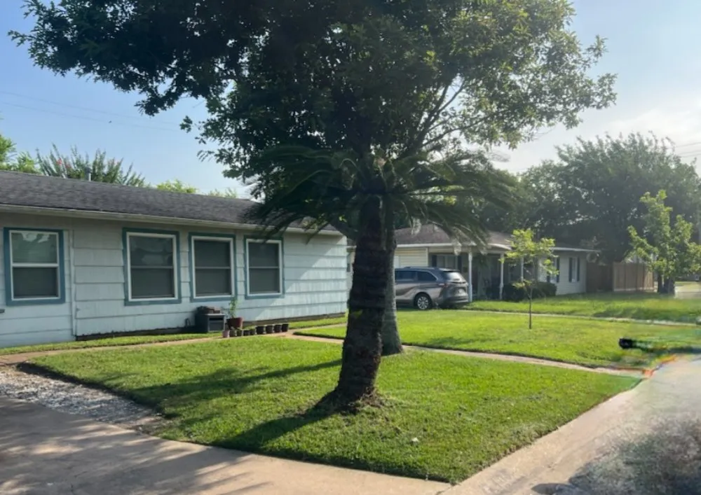 Reliable lawn mowing service in La Marque, TX by BLC Lawn Care