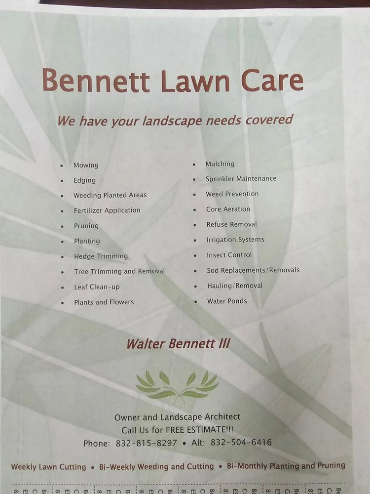 Affordable yard cleanup service in La Marque, TX by BLC Lawn Care