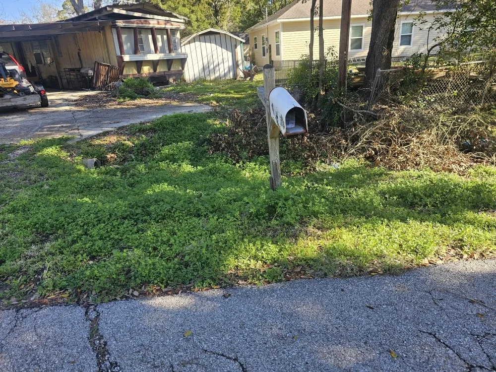 Local yard maintenance in La Marque, TX - BLC Lawn Care