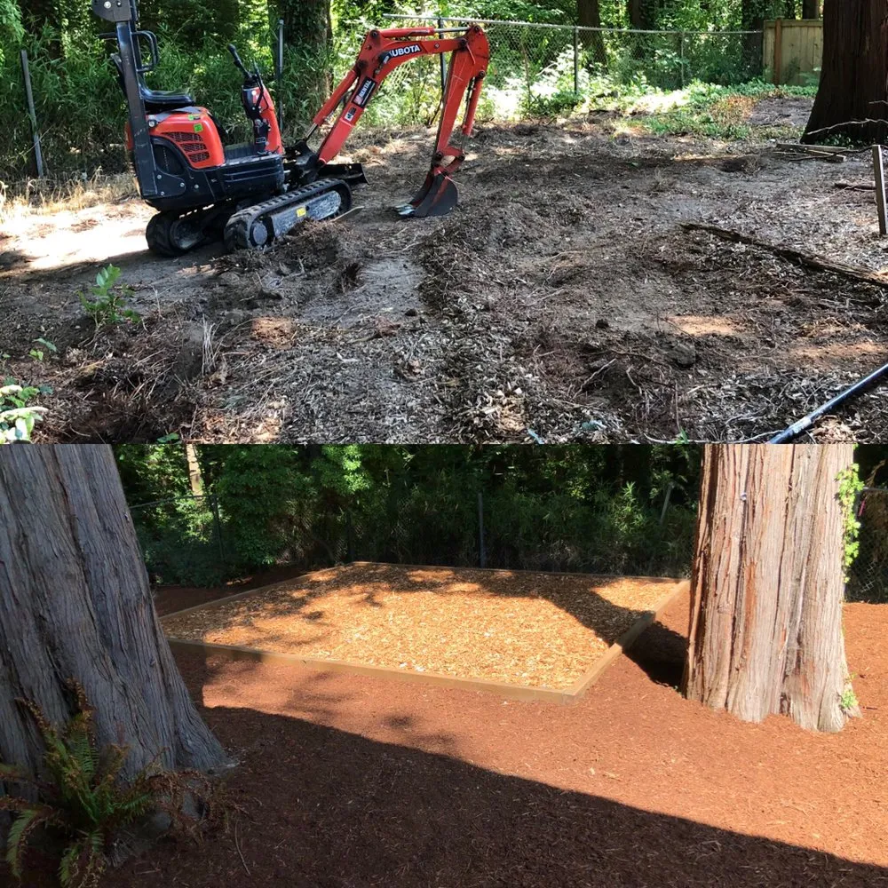 Affordable landscaping services in Seattle, WA - Bleitz Landworks