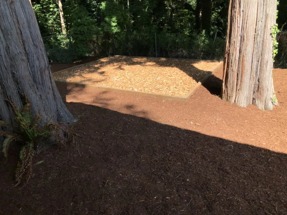 Custom landscape design for year-round maintenance across Seattle, WA - Bleitz Landworks