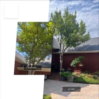 Blendedrootz Lawn Care Services