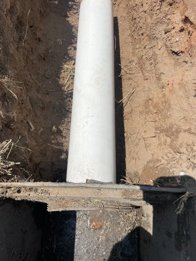 Professional landscape design for year-round maintenance in Greenville, SC by Bless Detail Services