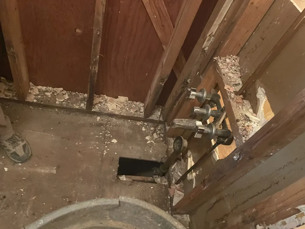 Professional yard maintenance experts serving Greenville, SC - Bless Detail Services