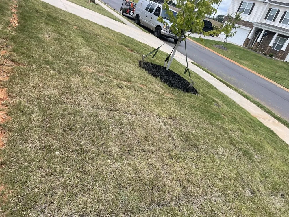 Expert residential landscaping experts serving Greenville, SC - Bless Detail Services