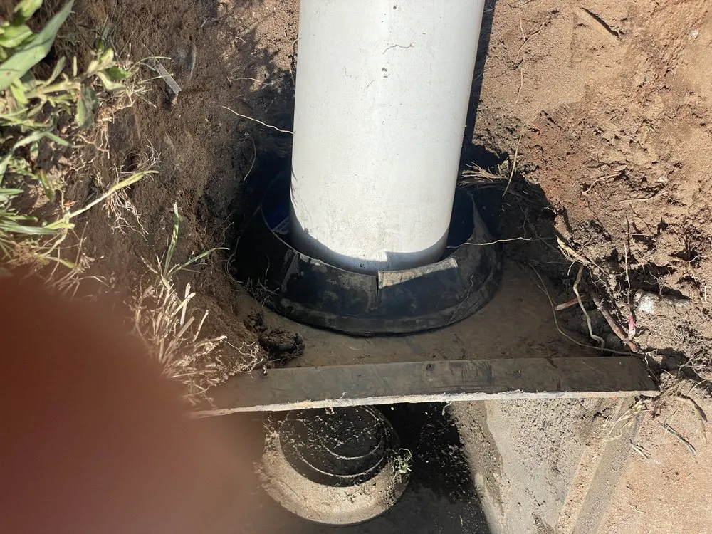 Trusted landscaping services with custom design in Greenville, SC by Bless Detail Services