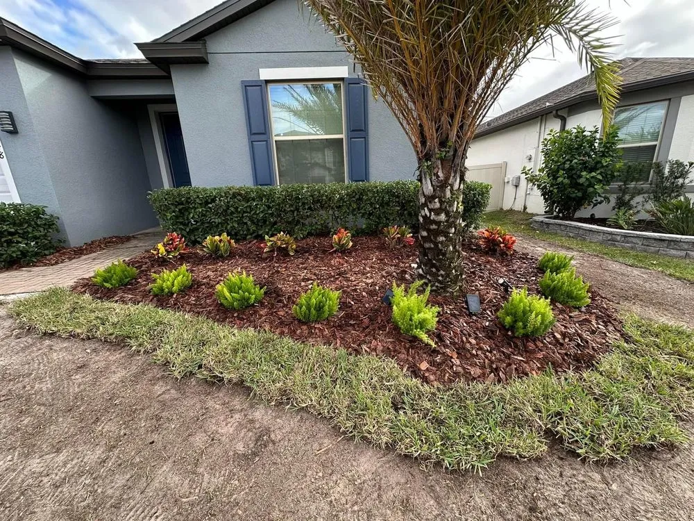 Professional lawn mowing service for year-round maintenance in Kissimmee, FL by Bless Hand Land Care