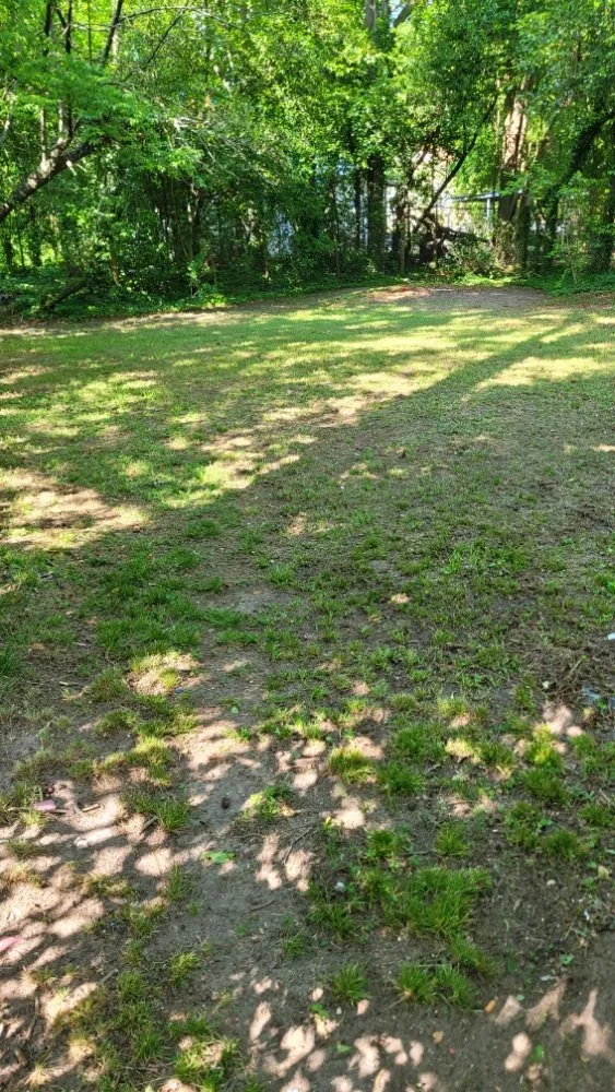 Expert outdoor landscaping for year-round maintenance in Macon, GA by Bless It B Wait And C Landscaping