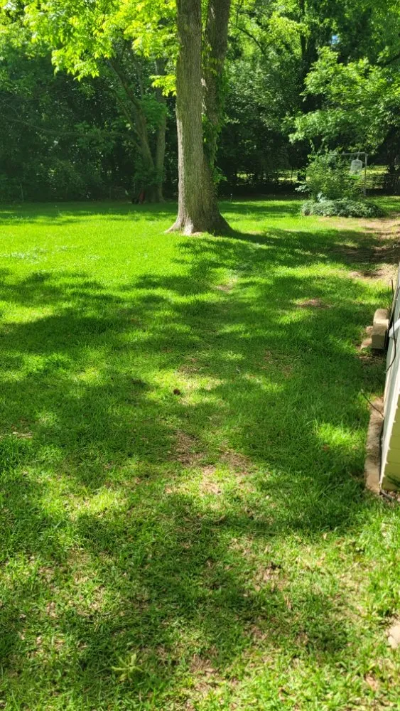 Expert lawn care service experts serving Macon, GA - Bless It B Wait And C Landscaping