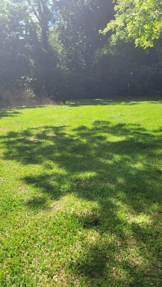 Expert residential landscaping with custom design in Macon, GA by Bless It B Wait And C Landscaping