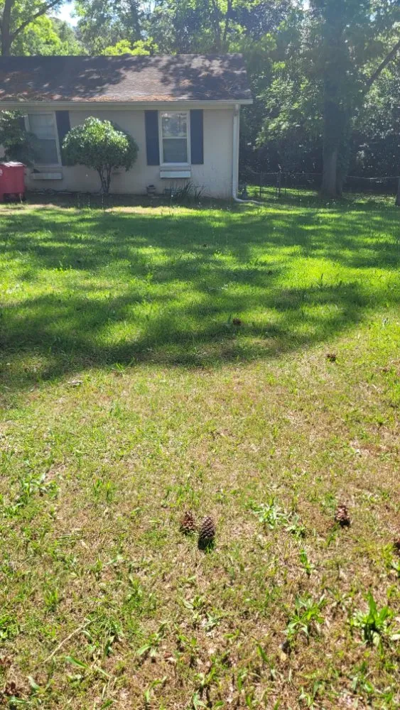 Top-rated residential landscaping for homes across Macon, GA - Bless It B Wait And C Landscaping