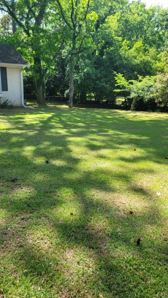 Reliable yard cleanup service in Macon, GA by Bless It B Wait And C Landscaping