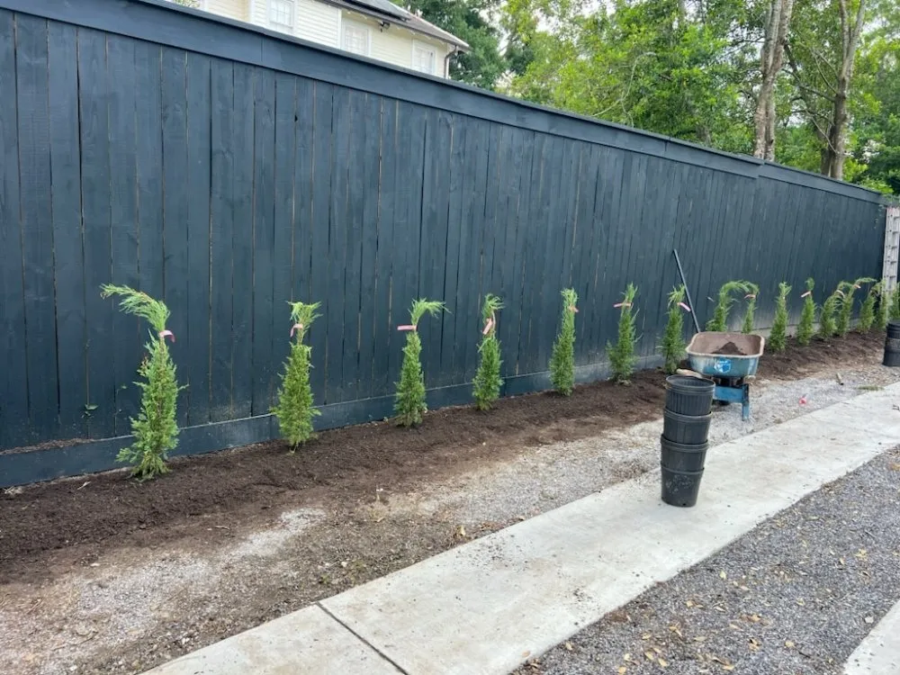 Trusted yard maintenance for outdoor upgrades in New Orleans, LA by Bless Landscaping