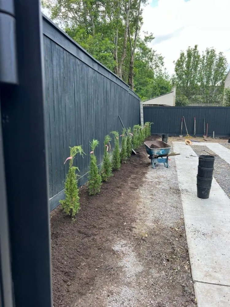 Affordable lawn care service for beautiful yards in New Orleans, LA by Bless Landscaping