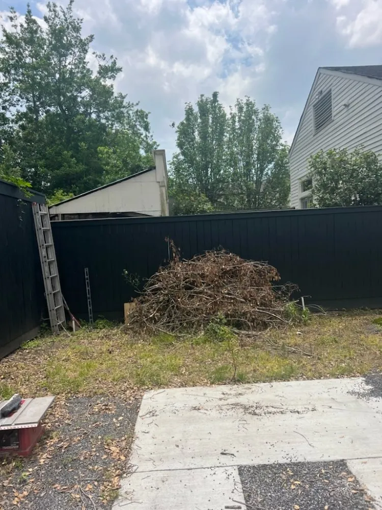 Affordable landscape design in New Orleans, LA by Bless Landscaping