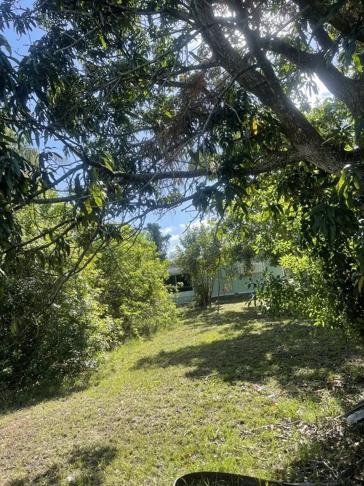 Trusted landscaping services with custom design across Port St. Lucie, FL - Bless Lawn Care