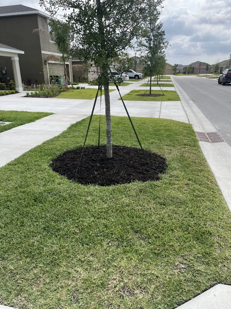 Top-rated landscaping services for beautiful yards across Port St. Lucie, FL - Bless Lawn Care
