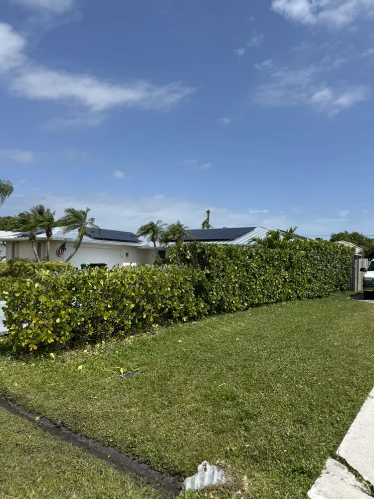 Reliable landscaping services for beautiful yards in Port St. Lucie, FL by Bless Lawn Care
