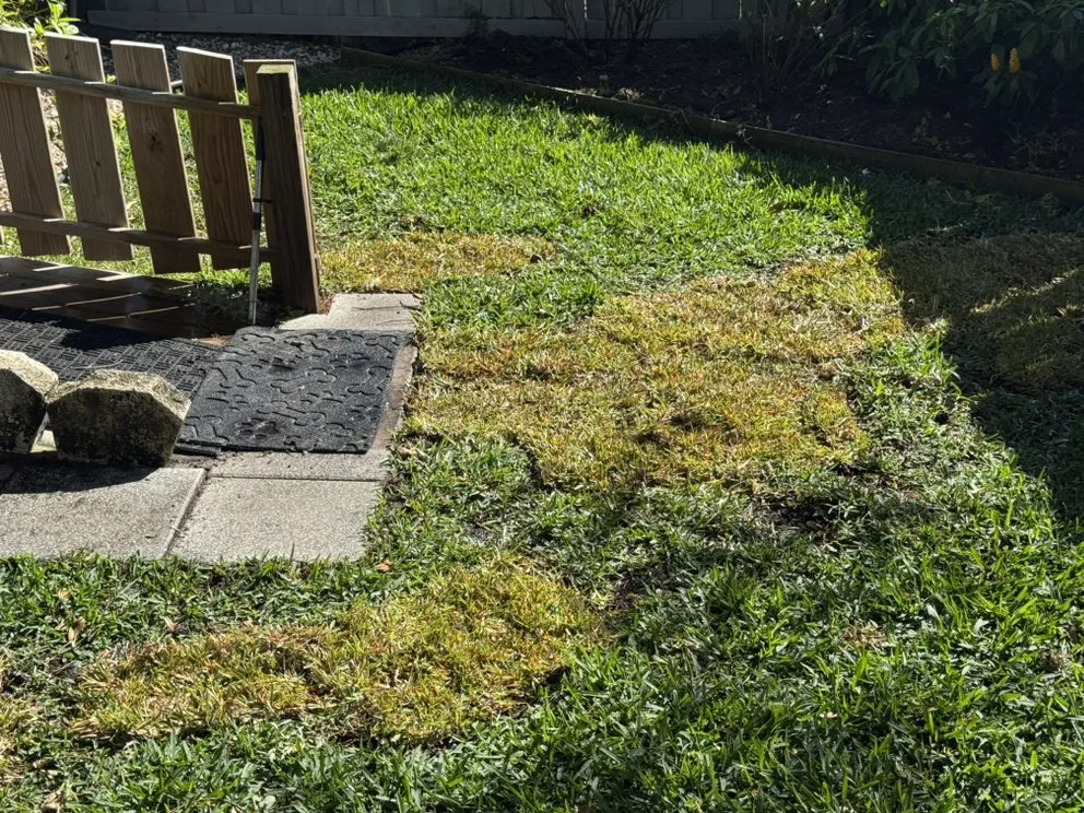 Affordable landscaping services for year-round maintenance across Port St. Lucie, FL - Bless Lawn Care