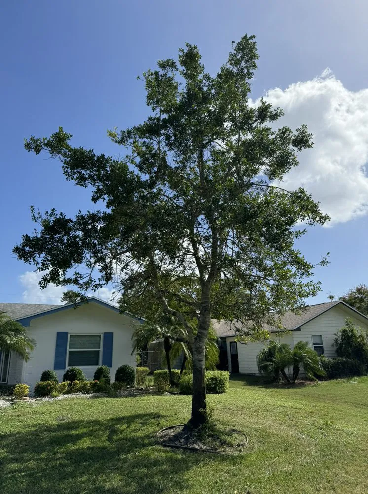 Affordable landscape design in Port St. Lucie, FL by Bless Lawn Care