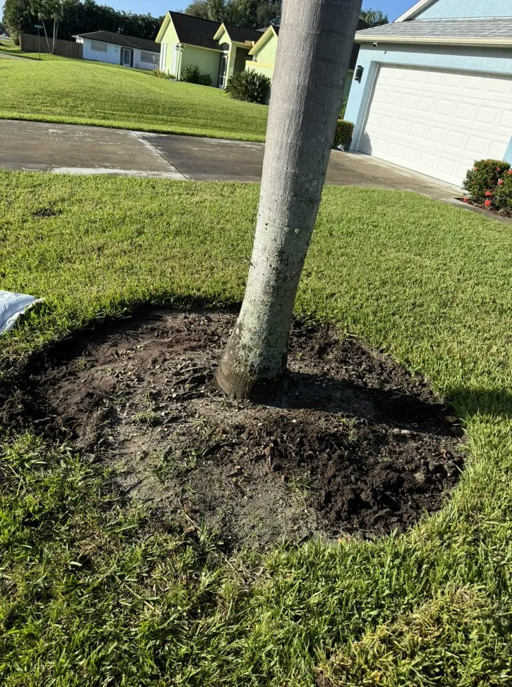 Reliable yard cleanup service experts serving Port St. Lucie, FL - Bless Lawn Care