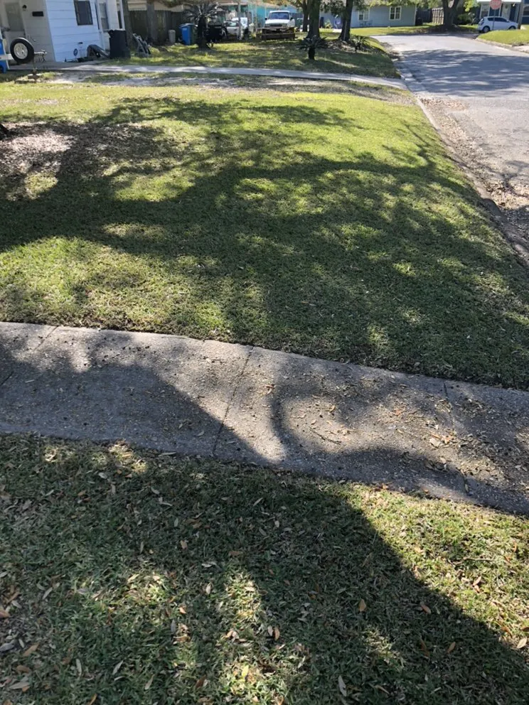 Trusted landscape design in Moss Point, MS by Bless The Land