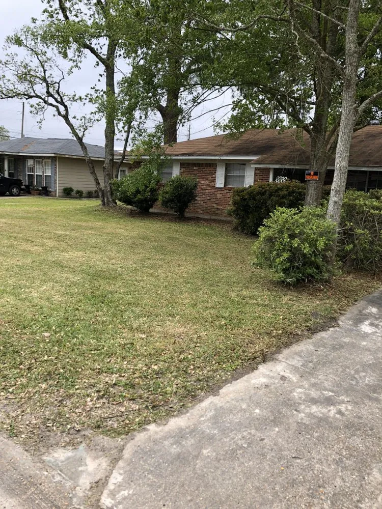 Trusted lawn care service in Moss Point, MS by Bless The Land