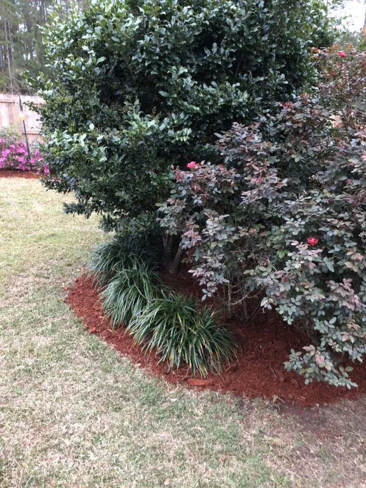 Custom lawn mowing service for residential properties in Moss Point, MS by Bless The Land