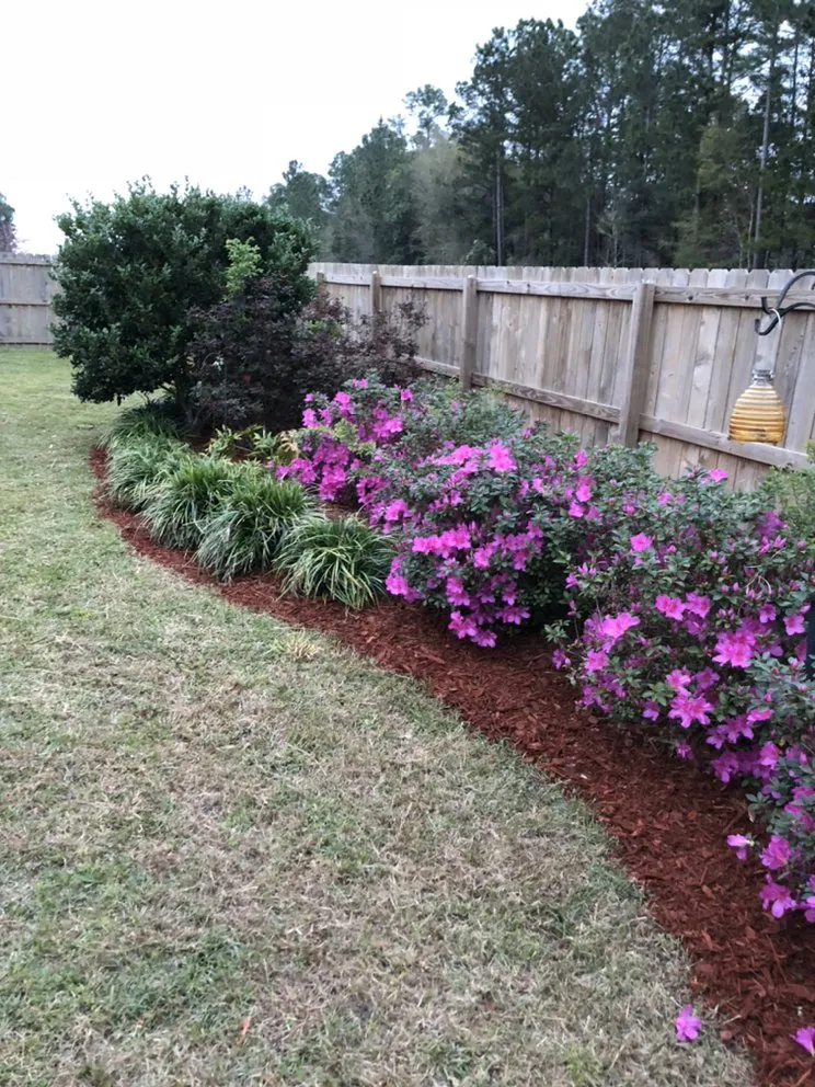 Local yard maintenance experts serving Moss Point, MS - Bless The Land