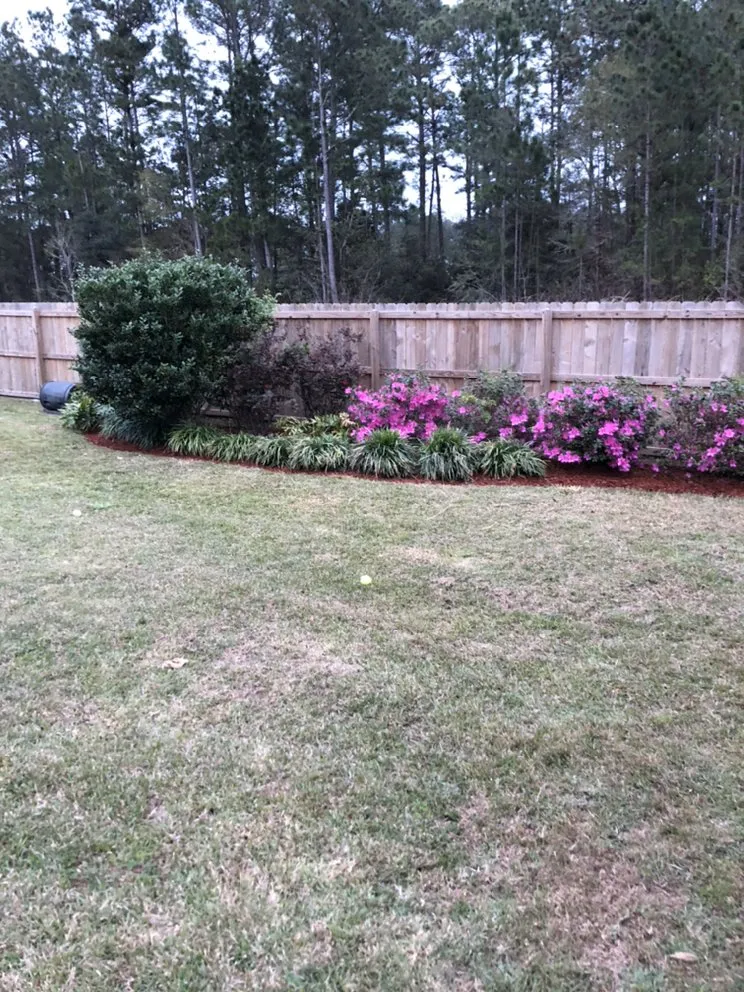 Affordable landscaping services for homes across Moss Point, MS - Bless The Land