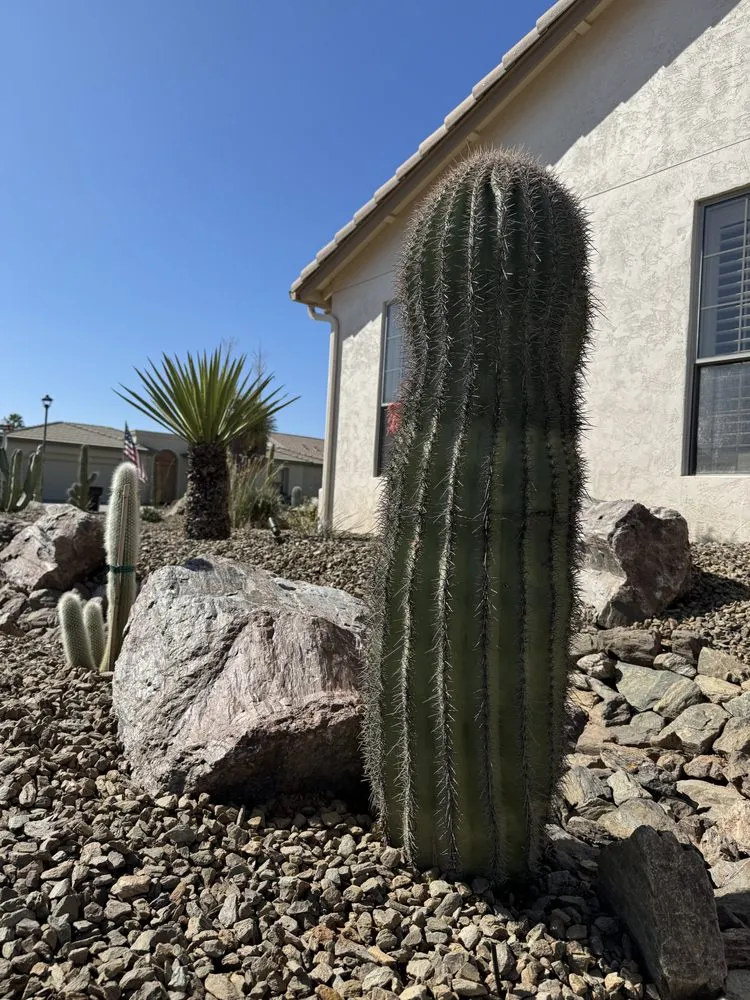 Expert yard maintenance for outdoor upgrades in Chandler, AZ by Bless Tierra Landscaping