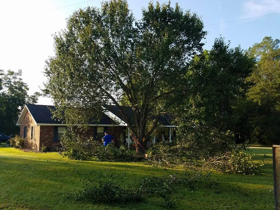 Expert landscape installation with custom design in Jesup, GA by Blessed Beyond Measure Enterprises