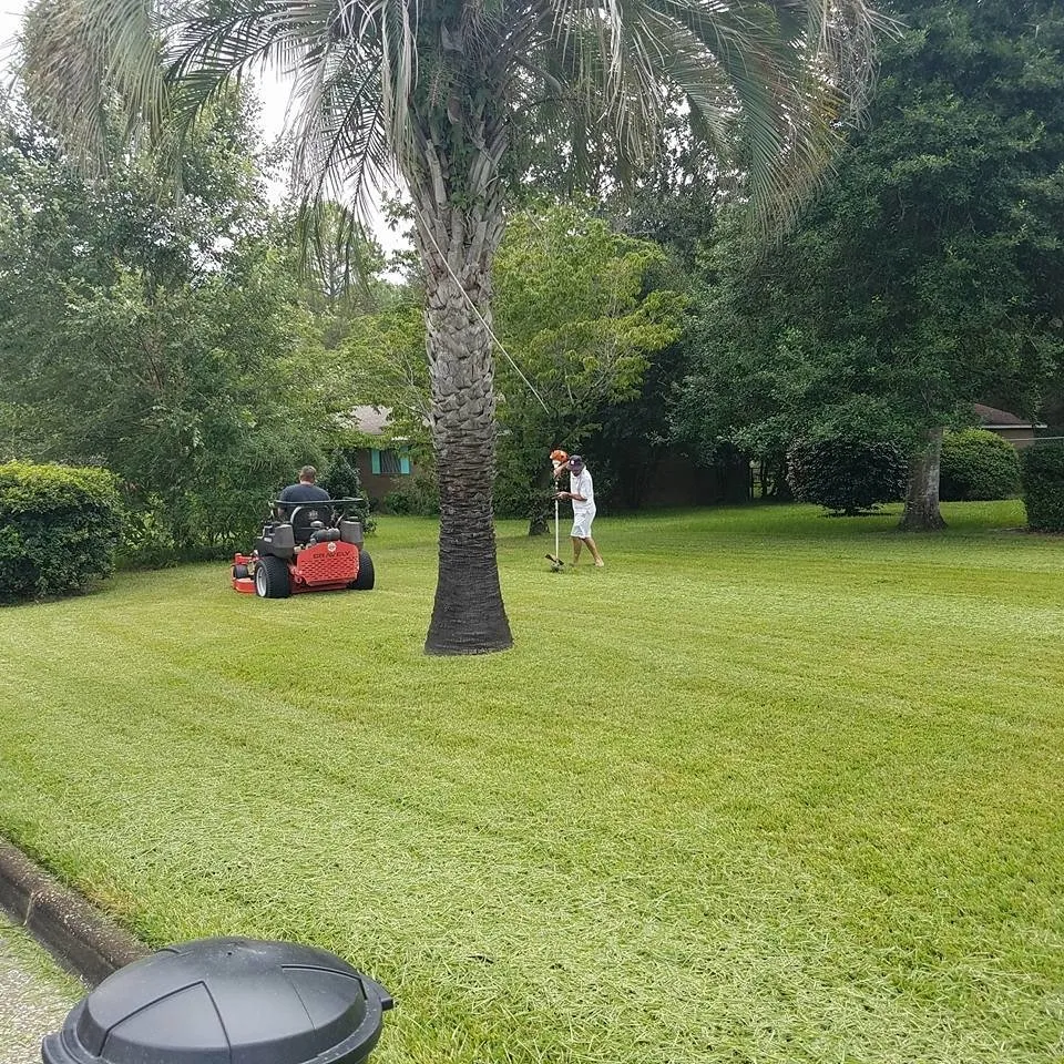 Affordable landscape design for outdoor upgrades across Jesup, GA - Blessed Beyond Measure Enterprises