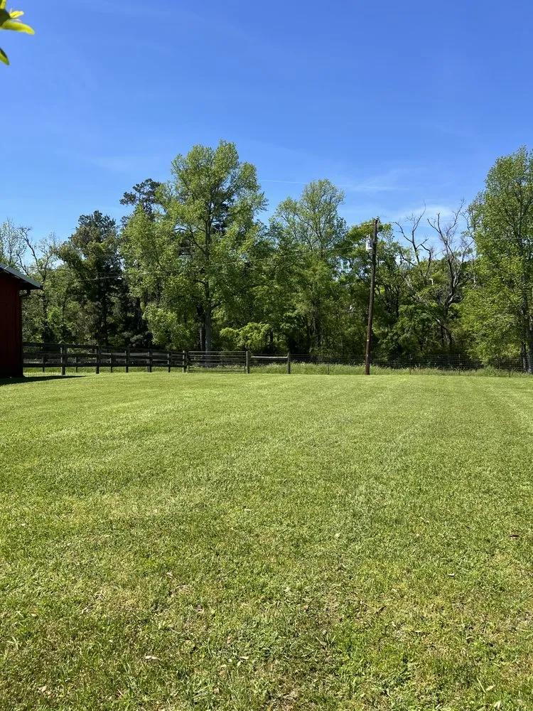 Professional lawn care service in Diboll, TX by Blessed Boy’s Lawn Care