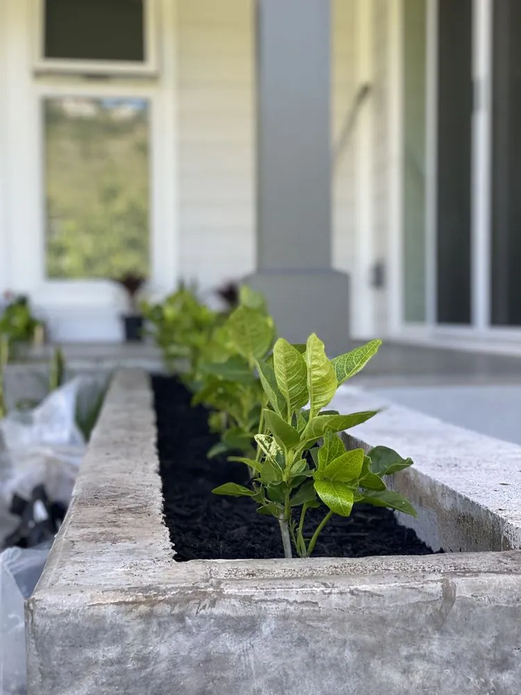 Professional outdoor landscaping in Kapolei, HI - Blessed Construction