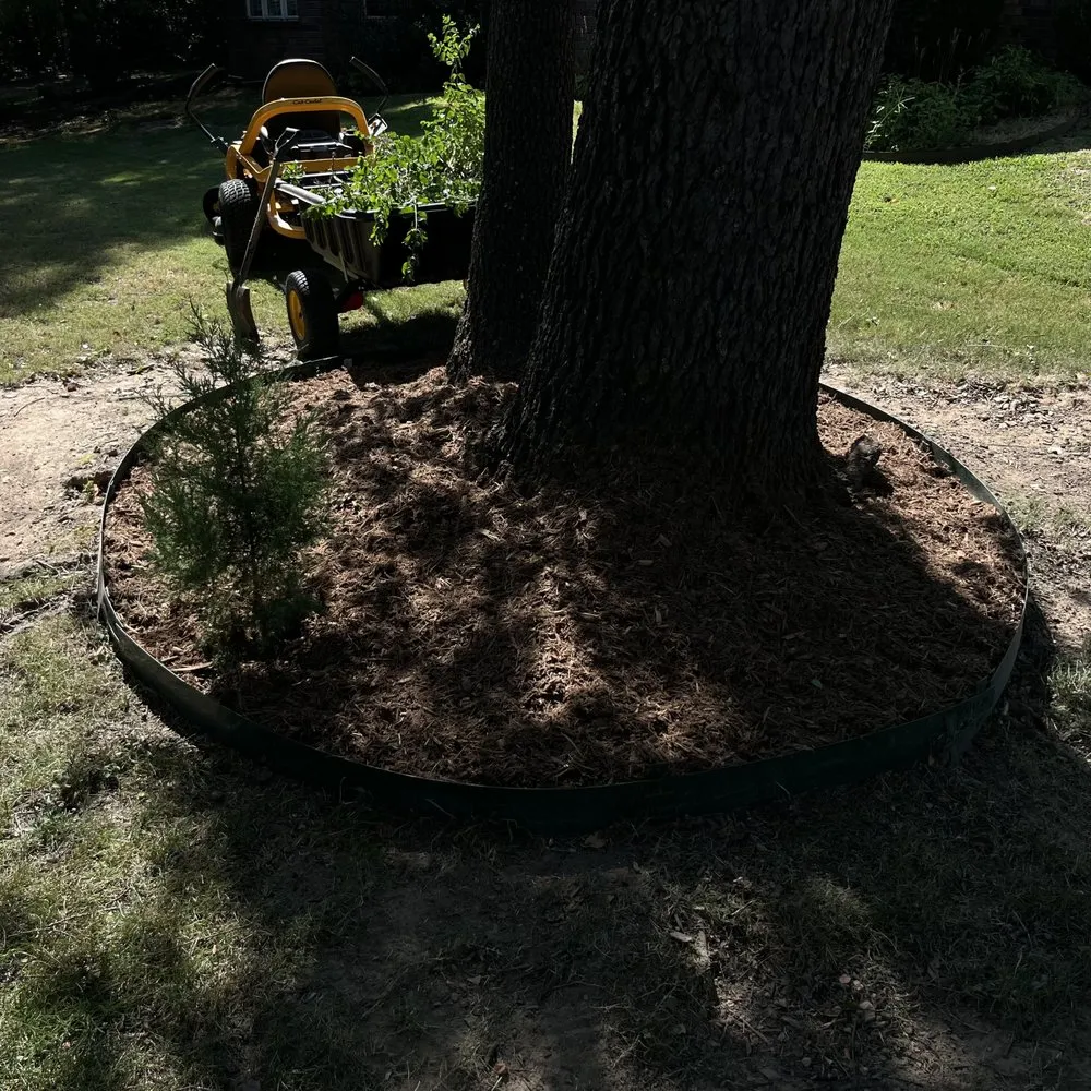 Top-rated landscape design in Fayetteville, AR by Blessed Family