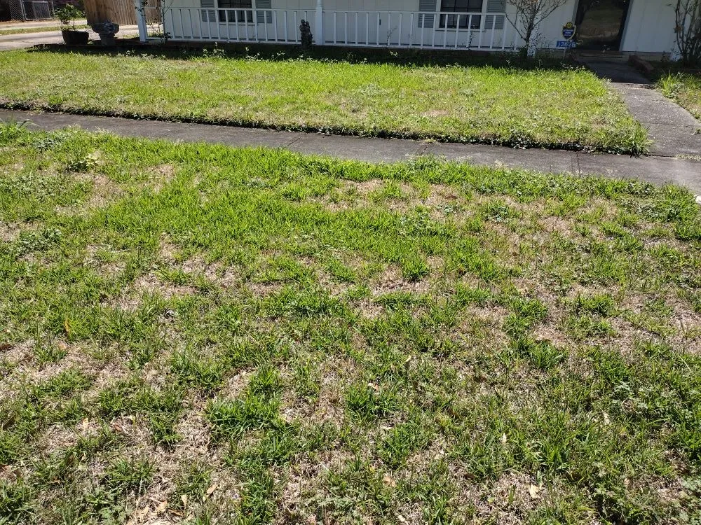 Reliable yard cleanup service in Baton Rouge, LA - Blessed Guys Residential and Commercial Services