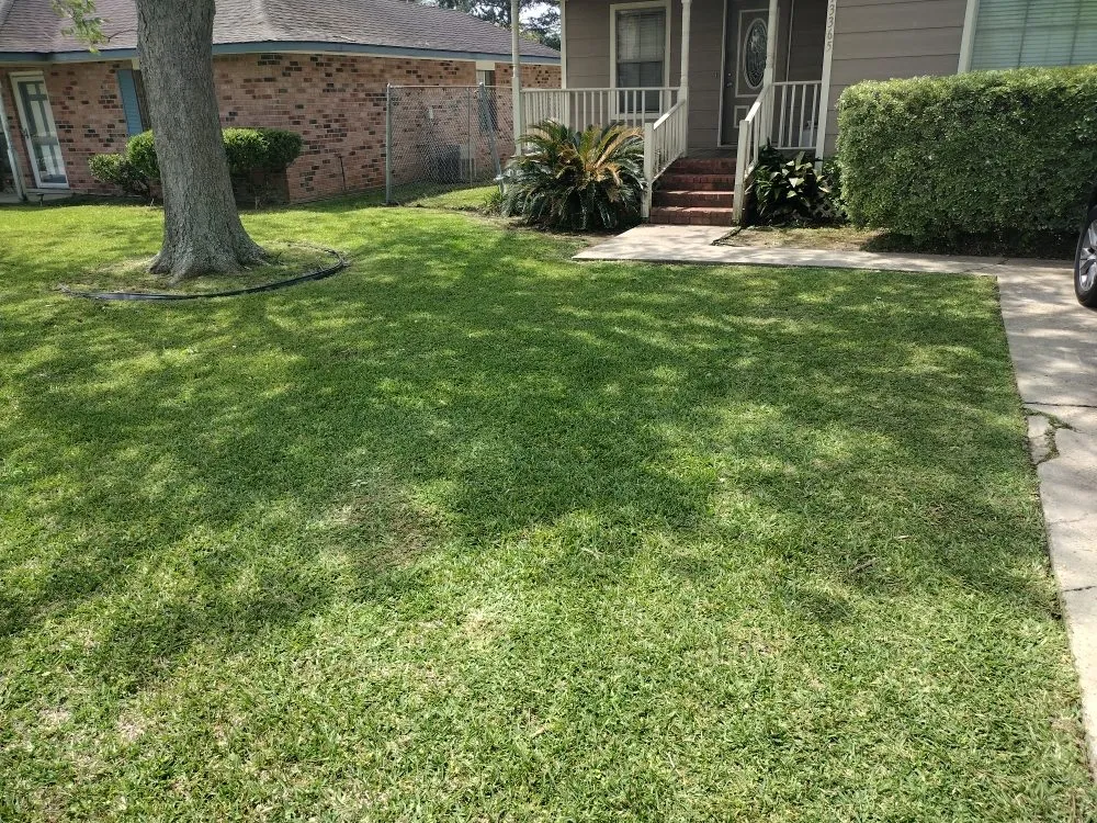 Top-rated lawn mowing service in Baton Rouge, LA - Blessed Guys Residential and Commercial Services
