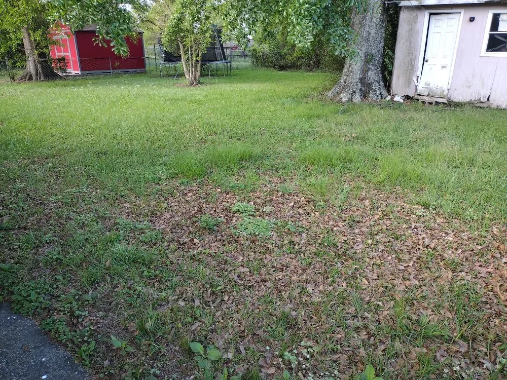 Reliable residential landscaping experts serving Baton Rouge, LA - Blessed Guys Residential and Commercial Services