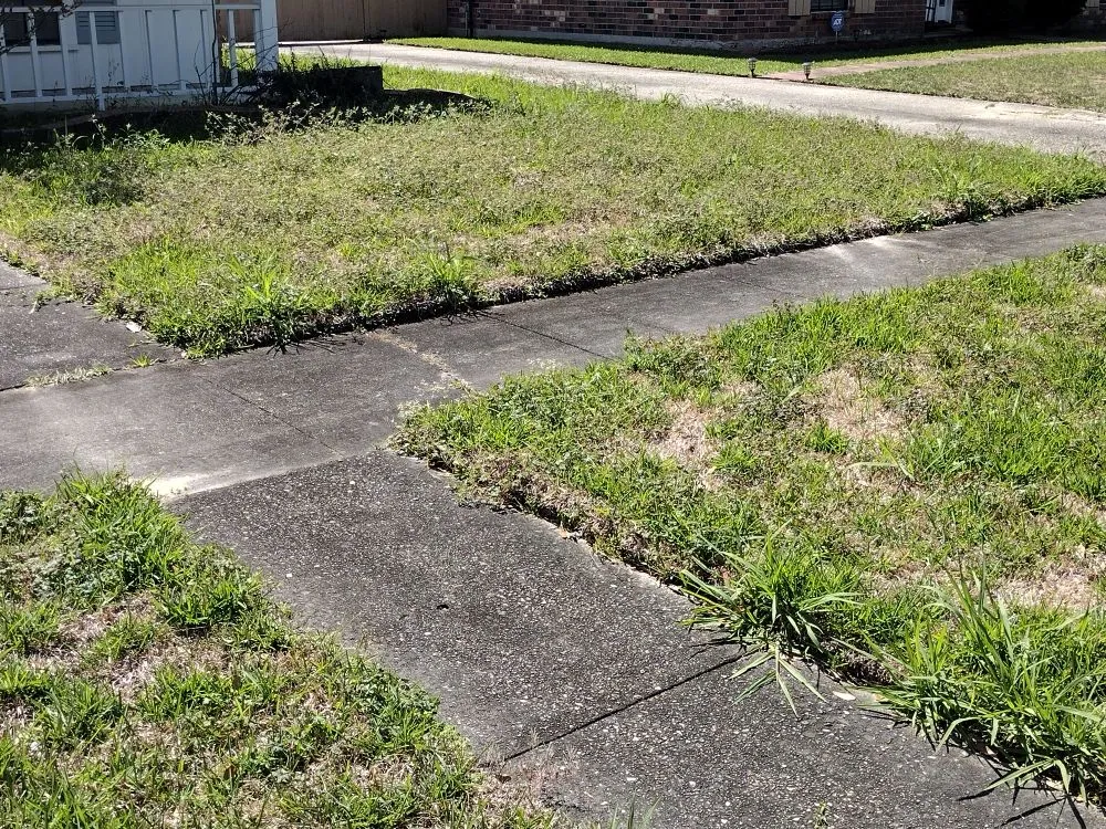 Local residential landscaping in Baton Rouge, LA by Blessed Guys Residential and Commercial Services