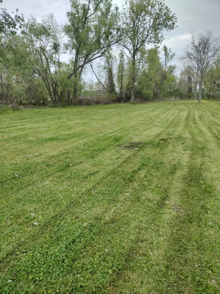 Trusted landscape installation with custom design in Baton Rouge, LA by Blessed Guys Residential and Commercial Services
