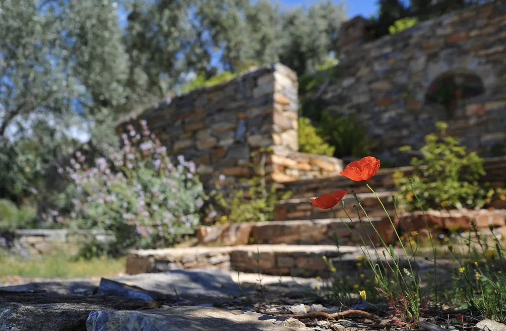 Expert yard maintenance for residential properties across Baton Rouge, LA - Blessed Guys Residential and Commercial Services