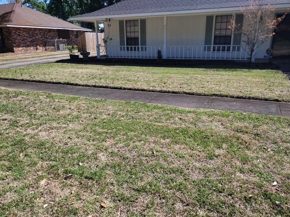 Expert landscape design experts serving Baton Rouge, LA - Blessed Guys Residential and Commercial Services