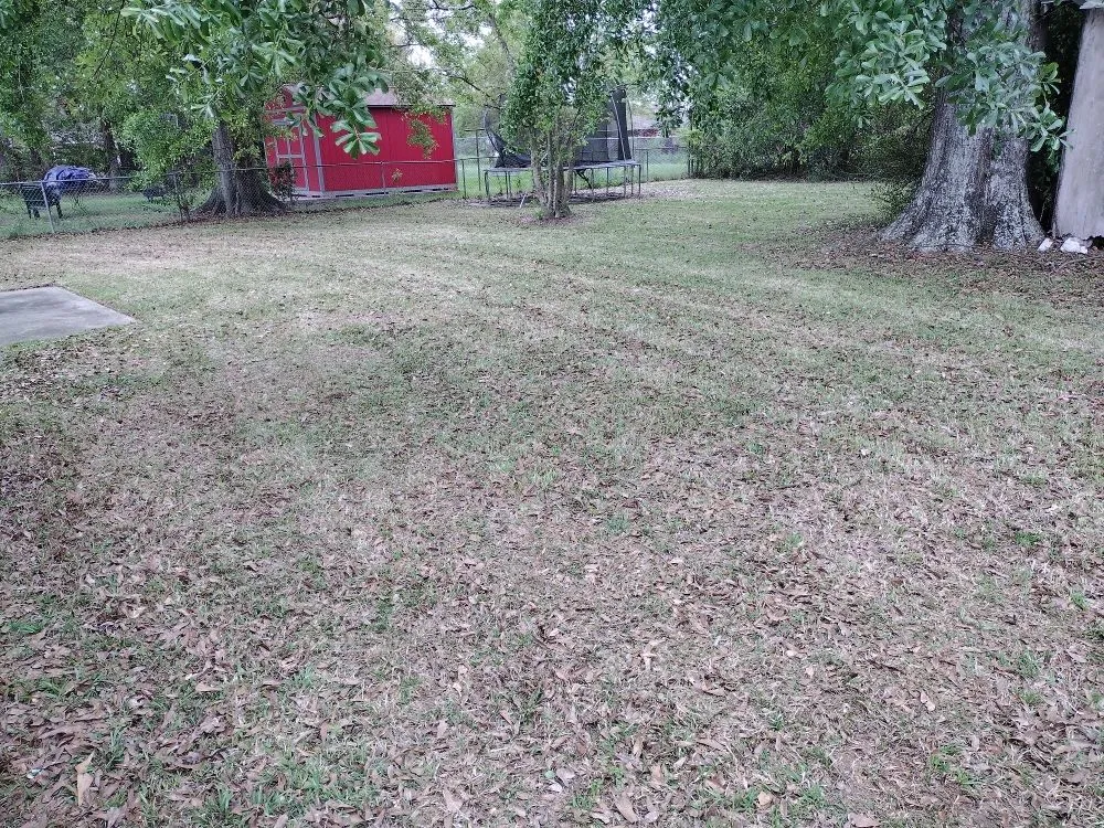 Local yard maintenance near you across Baton Rouge, LA - Blessed Guys Residential and Commercial Services