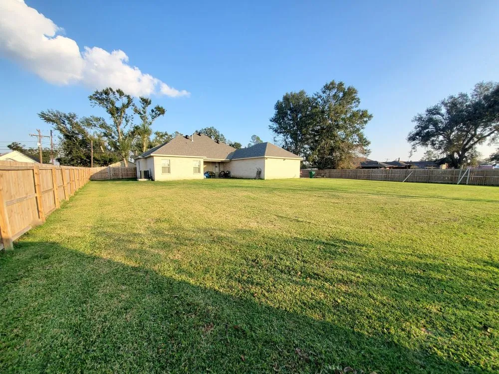 Professional outdoor landscaping in Baton Rouge, LA - Blessed Guys Residential and Commercial Services