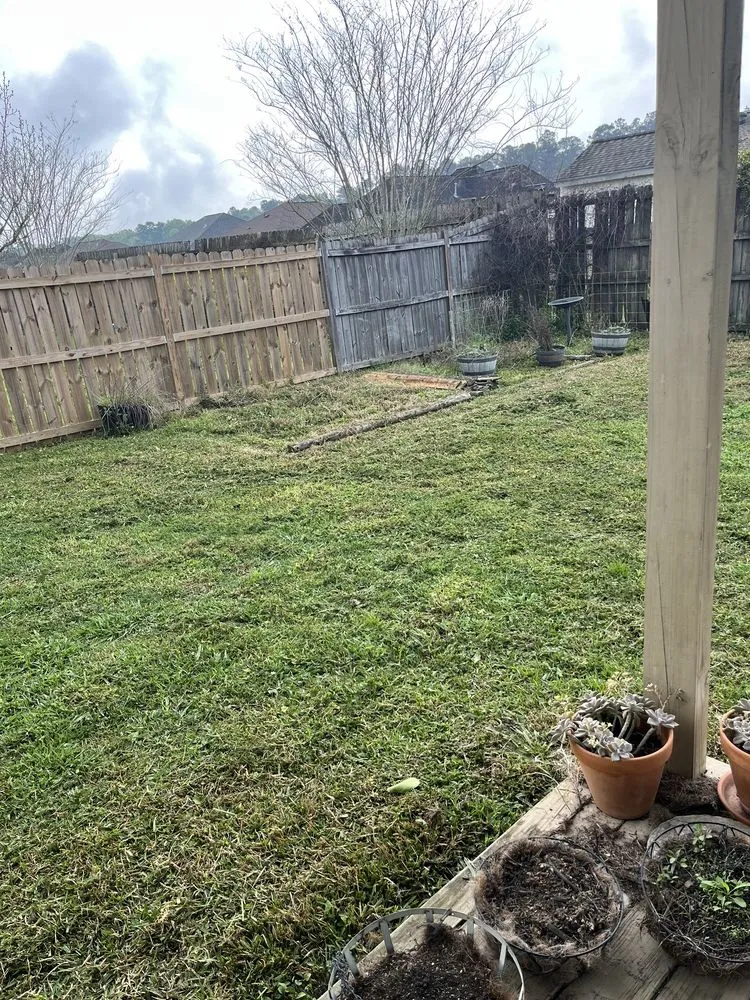 Custom yard maintenance experts serving Baton Rouge, LA - Blessed Guys Residential and Commercial Services