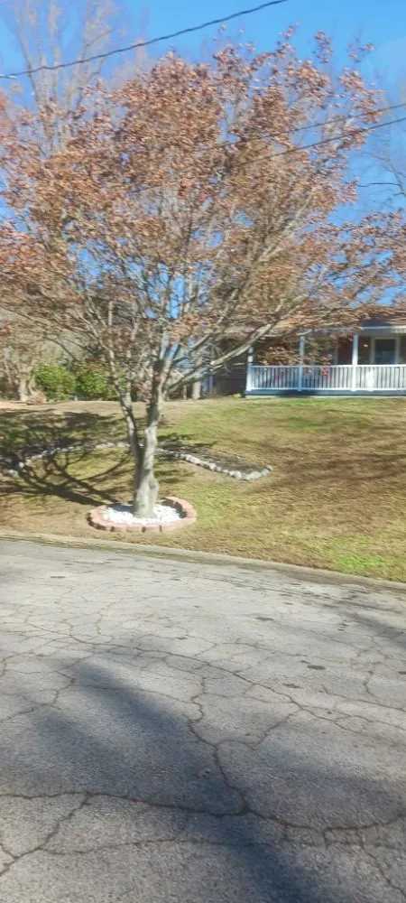 Reliable landscape installation in Danville, VA by Blessed Hands Landscaping