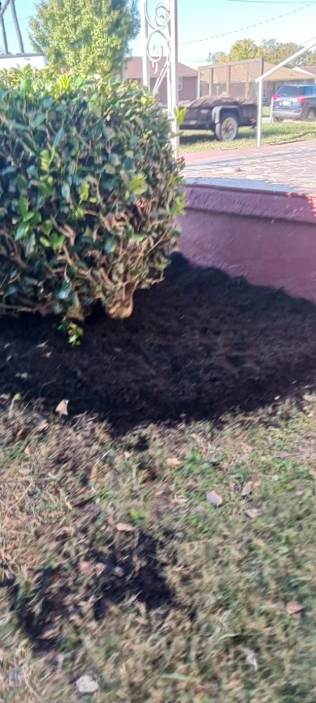 Reliable lawn mowing service in Danville, VA - Blessed Hands Landscaping